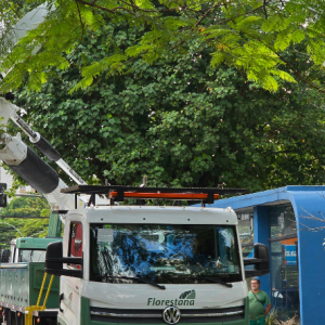guaruja-utiliza-equipamentos-ineditos-em-servicos-de-poda-ecologica